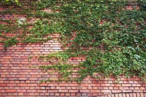 マンションの外壁工事で失敗しないための完全ガイド｜費用・耐久性・信頼できる業者の選び方