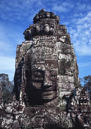 地域密着型の何でも相談できる不動産屋です。