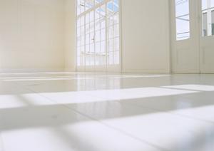 新潟県内で不動産を多数扱っています。